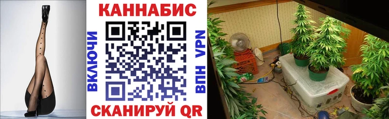 Канабис индика наркотики Певек